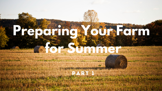 Preparing for Summer - Part 1 Preparing for Summer - Part 1